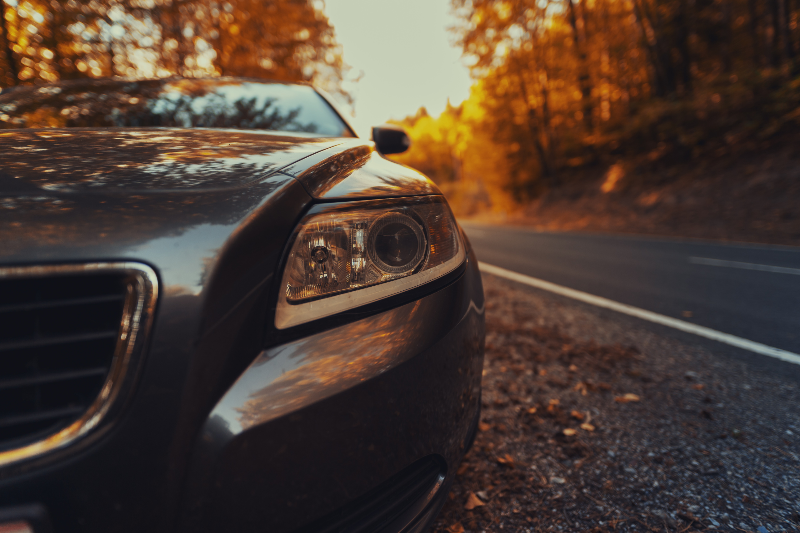 car parked in autumn leaves